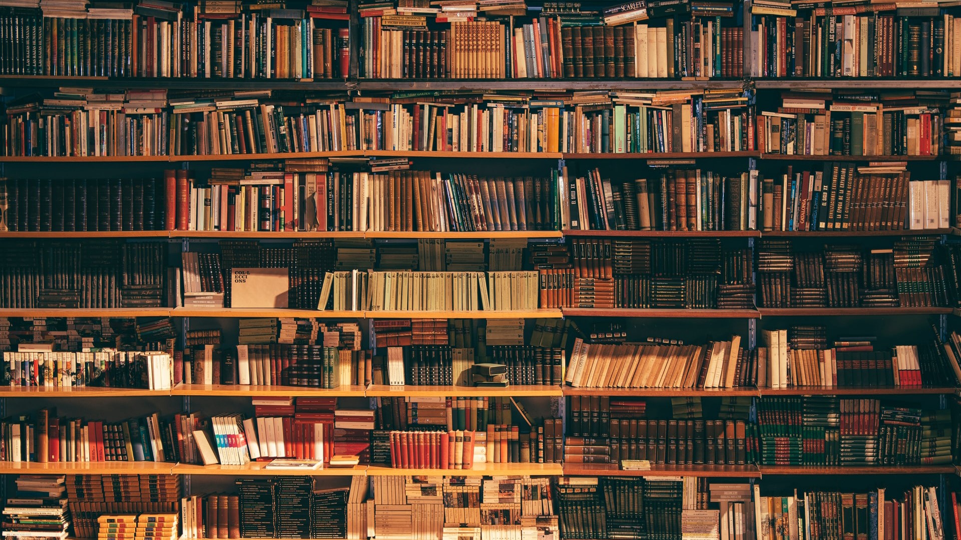 Book Club